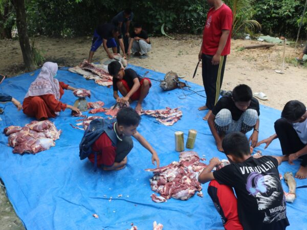 Rayakan Idul Adha, MAN 1 Konawe Selatan Gelar Penyembelihan Hewan Kurban dan Edukasi Religi Bagi Siswa