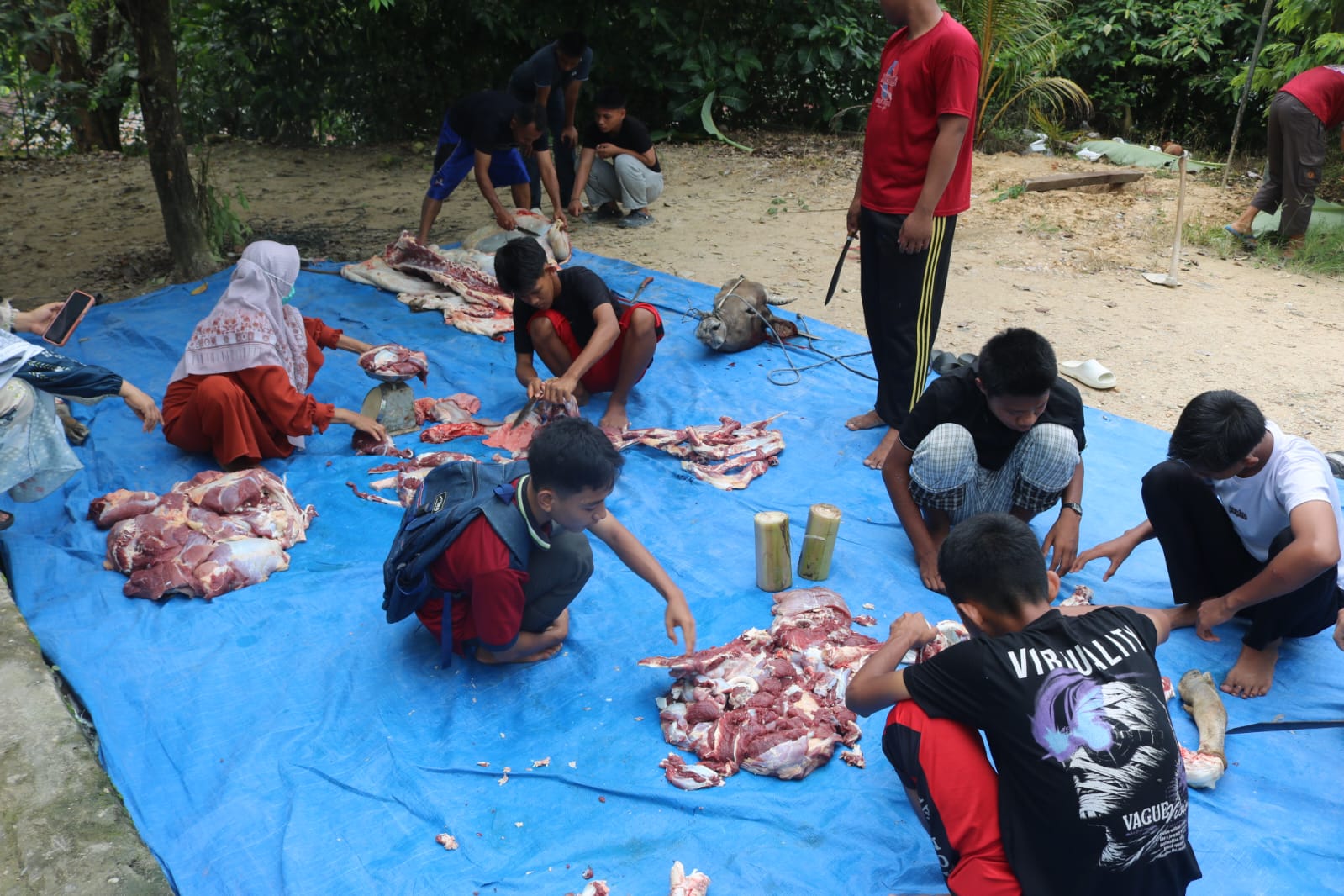 Rayakan Idul Adha, MAN 1 Konawe Selatan Gelar Penyembelihan Hewan Kurban dan Edukasi Religi Bagi Siswa